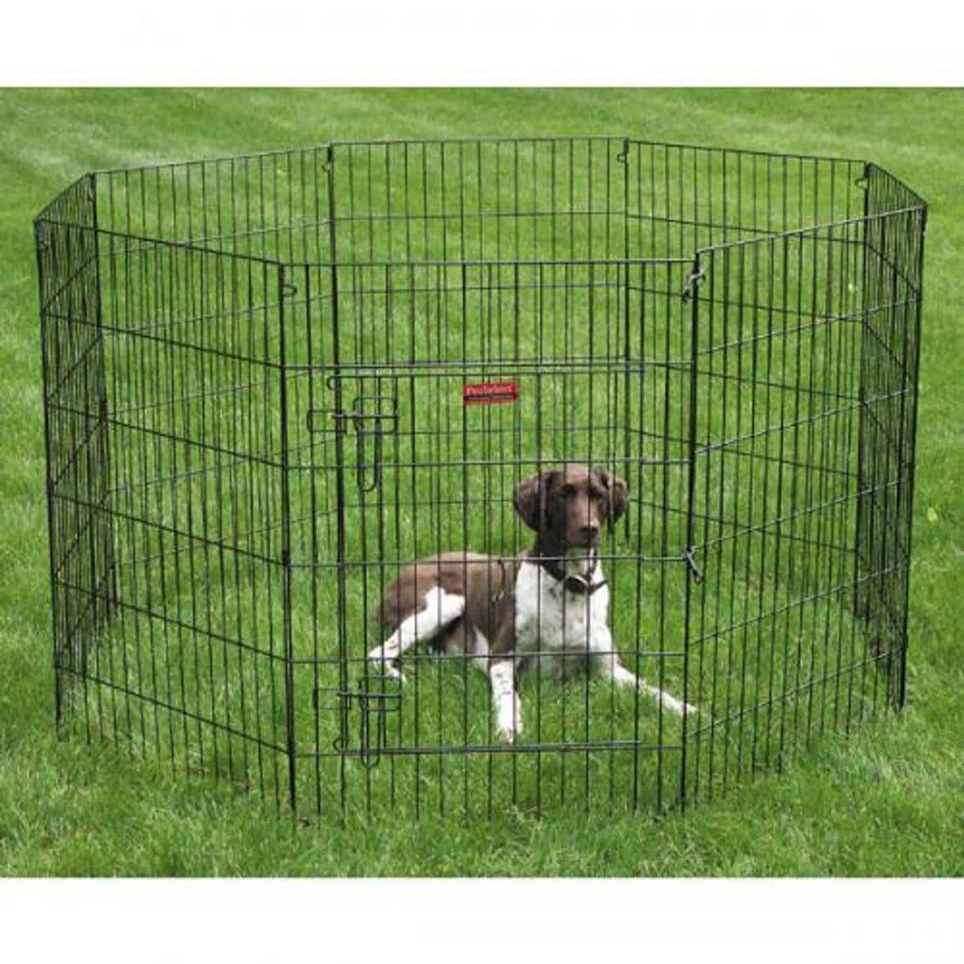 ProSelect Everlast XPen black metal pet playpen with door and dog inside on grass