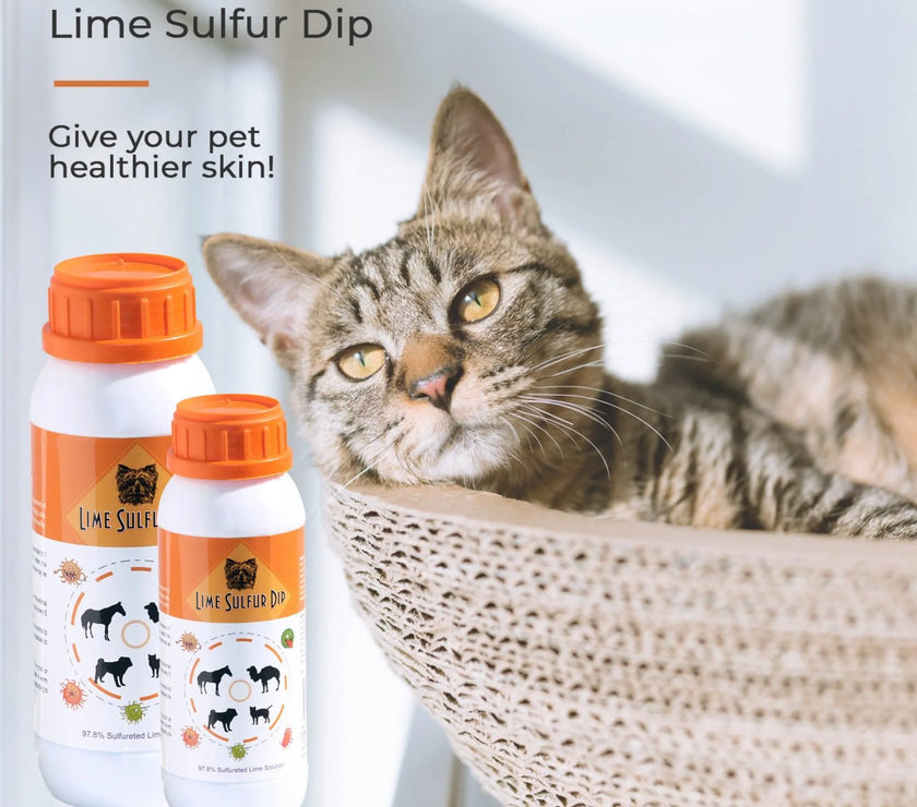 Lime Sulfur Dip - Pet and Veterinary Solution for Dermatitis, Mange, Ringworm and other Parasites