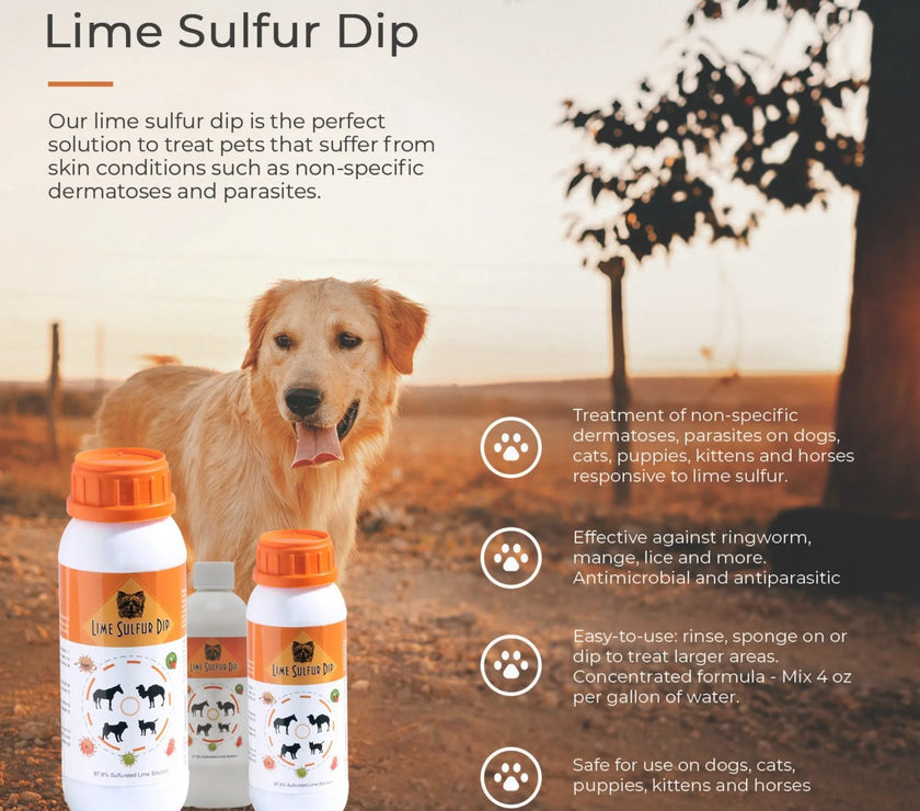 Lime Sulfur Dip - Pet and Veterinary Solution for Dermatitis, Mange, Ringworm and other Parasites