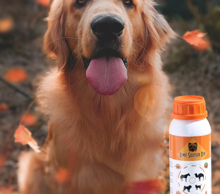 Lime Sulfur Dip - Pet and Veterinary Solution for Dermatitis, Mange, Ringworm and other Parasites