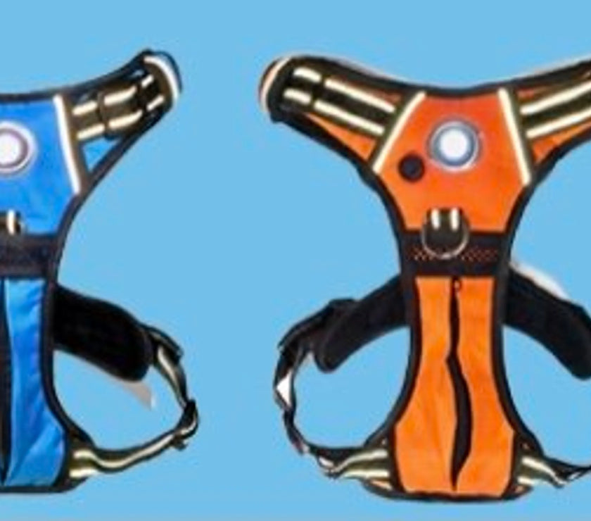 Headlight Harness, Dog Harness with Built In LED Light