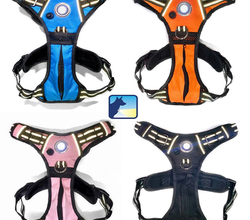 Headlight Harness, Dog Harness with Built In LED Light