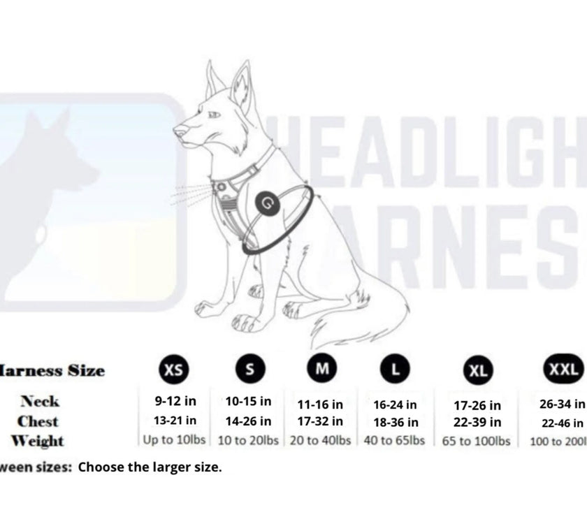 Headlight Harness, Dog Harness with Built In LED Light