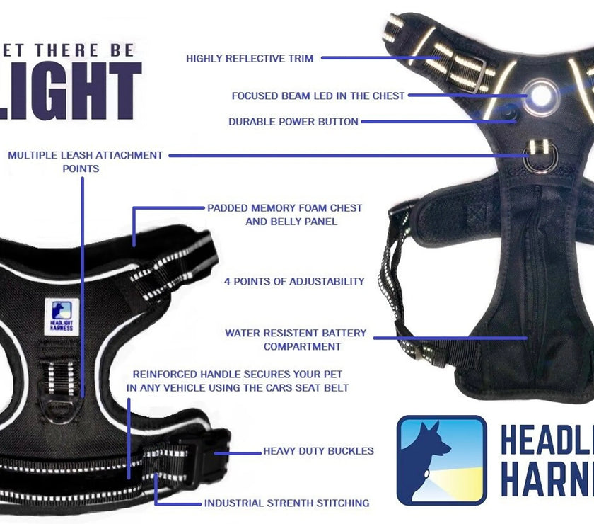 Headlight Harness, Dog Harness with Built In LED Light
