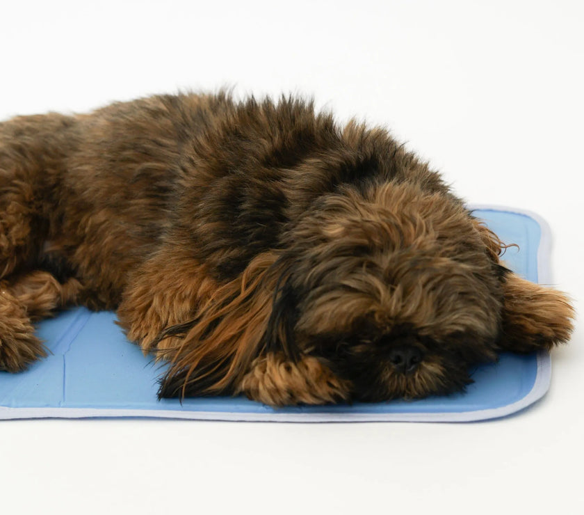 Cool Pet Pad