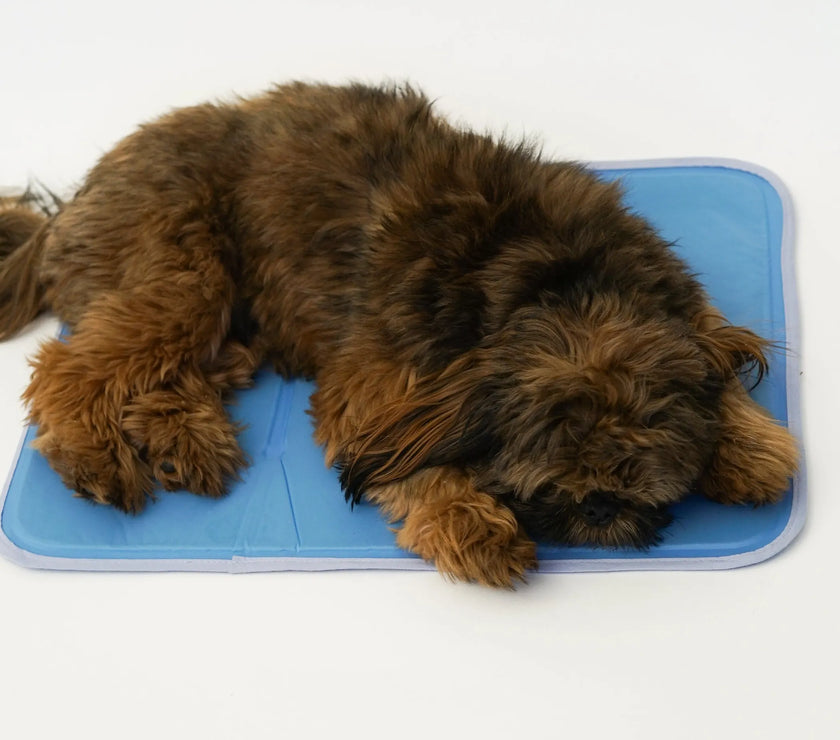 Cool Pet Pad