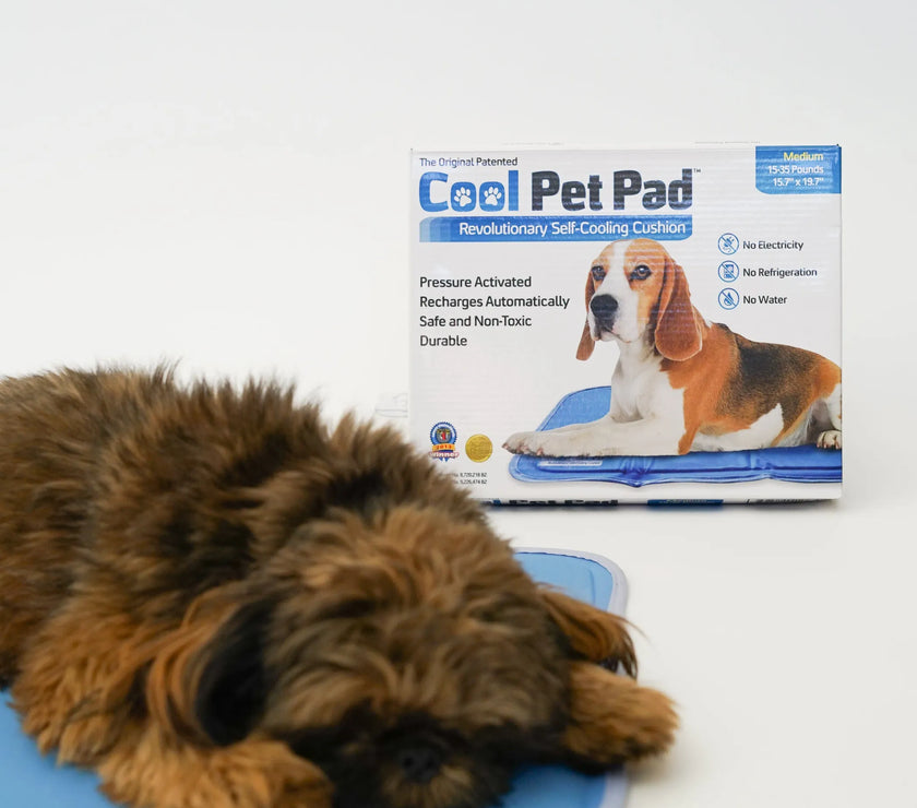Cool Pet Pad