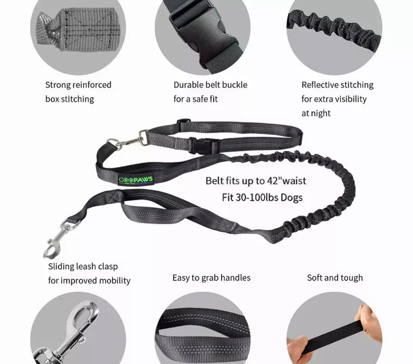 JESPET Hands Free Dog Leash for Running, Walking, Hiking Jogging for Medium & Large Dogs up to 150lbs, Durable Dual Handle Waist Leash with Reflective Bungee and Adjustable Waist