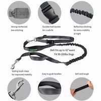 JESPET Hands Free Dog Leash for Running, Walking, Hiking Jogging for Medium & Large Dogs up to 150lbs, Durable Dual Handle Waist Leash with Reflective Bungee and Adjustable Waist