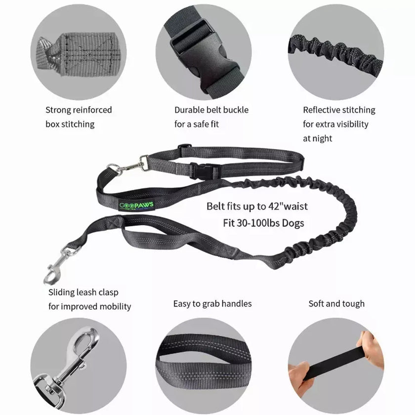 JESPET Hands Free Dog Leash for Running, Walking, Hiking Jogging for Medium & Large Dogs up to 150lbs, Durable Dual Handle Waist Leash with Reflective Bungee and Adjustable Waist