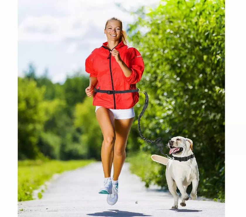 JESPET Hands Free Dog Leash for Running, Walking, Hiking Jogging for Medium & Large Dogs up to 150lbs, Durable Dual Handle Waist Leash with Reflective Bungee and Adjustable Waist