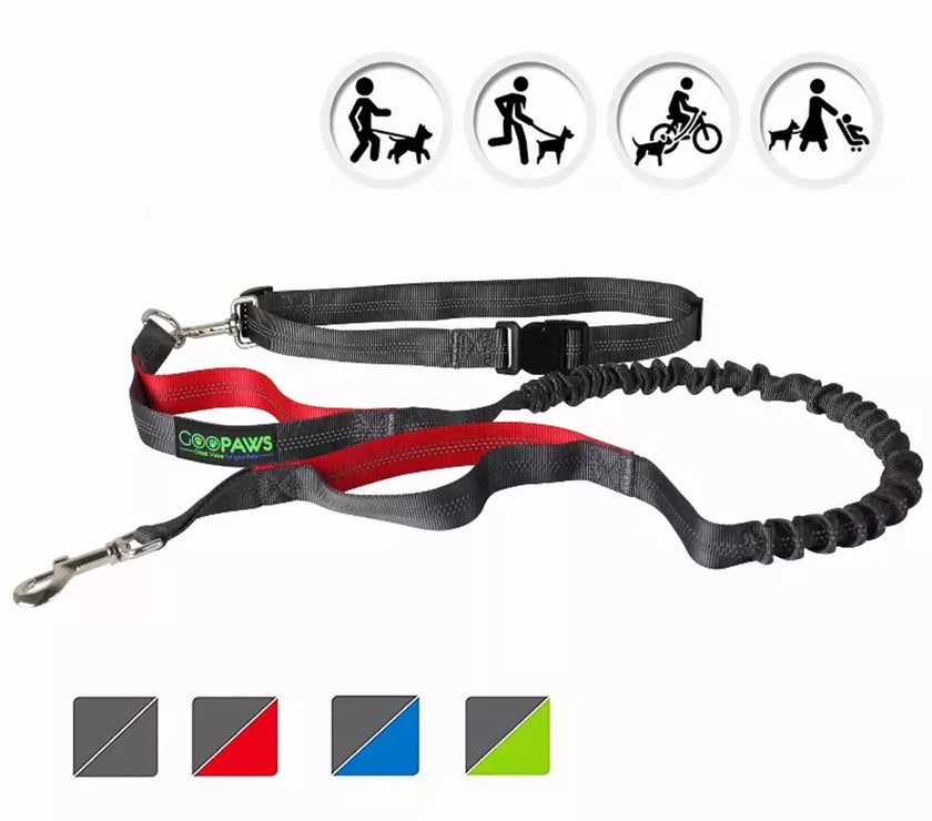 JESPET Hands Free Dog Leash for Running, Walking, Hiking Jogging for Medium & Large Dogs up to 150lbs, Durable Dual Handle Waist Leash with Reflective Bungee and Adjustable Waist