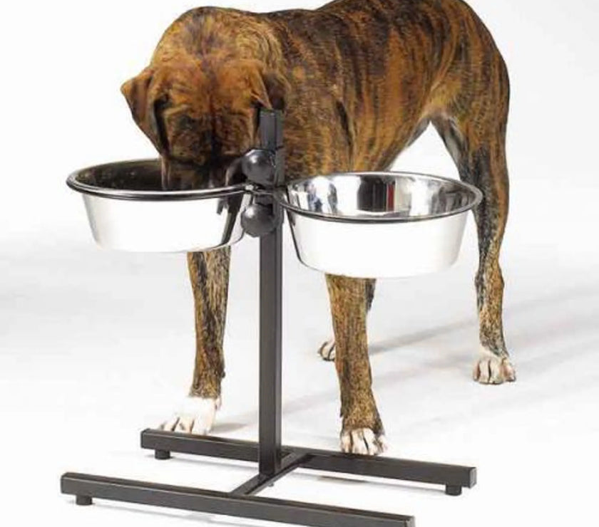 ProSelect Adjustable Diner with/Bowls 160oz