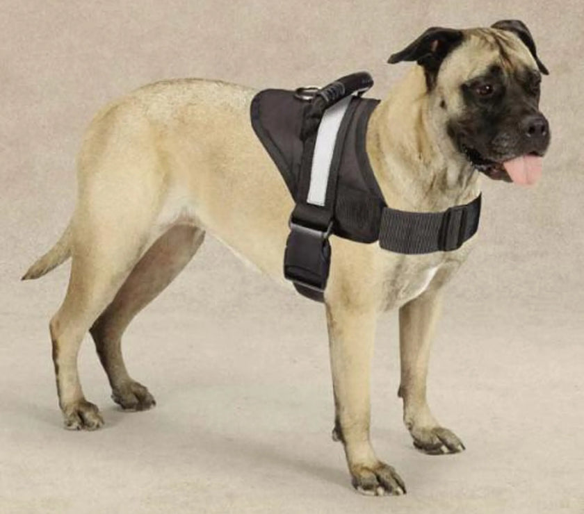 Guardian Gear Excursion Harnesses 36-46In