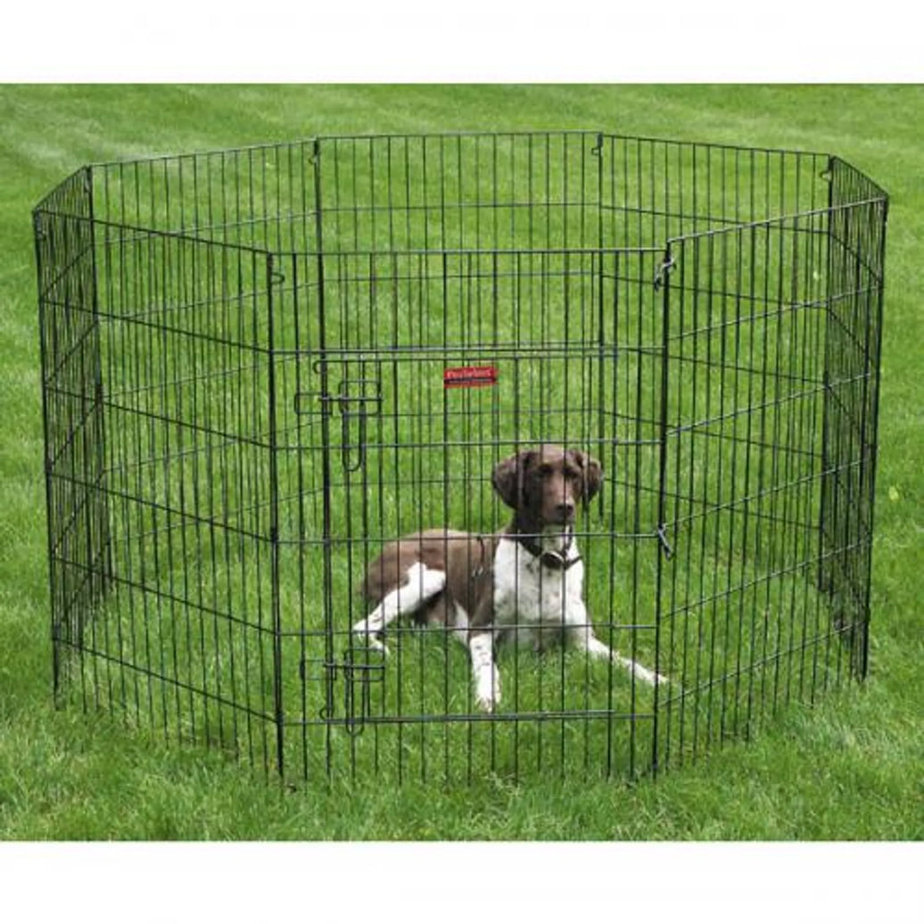ProSelect Everlast XPen black metal pet playpen with door and dog inside on grass