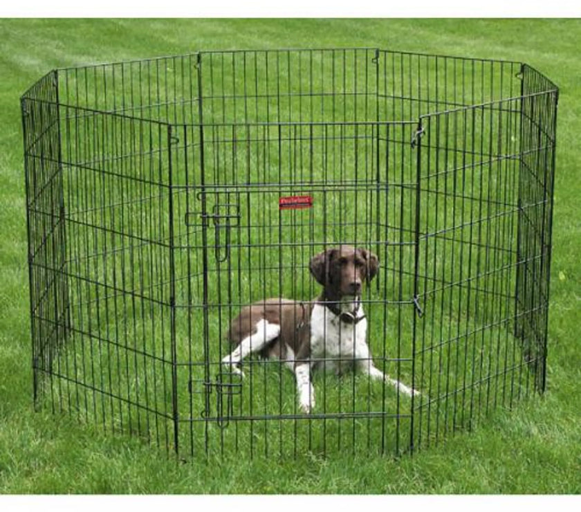 ProSelect Everlast XPen black metal pet playpen with door and dog inside on grass