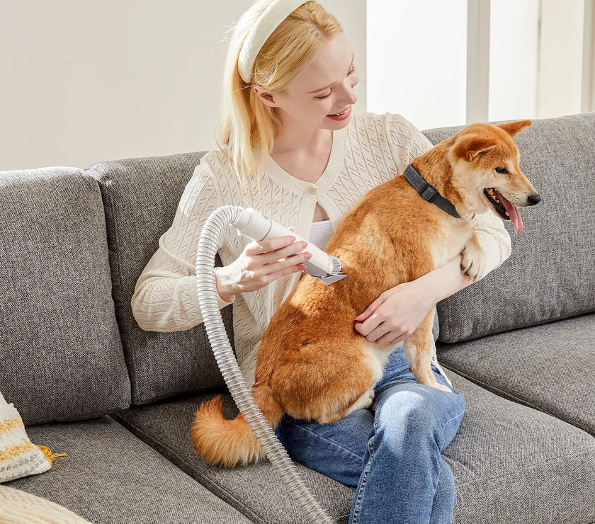 Professional Pet Grooming Clippers with 2.5L Cup, 3 Suction Modes