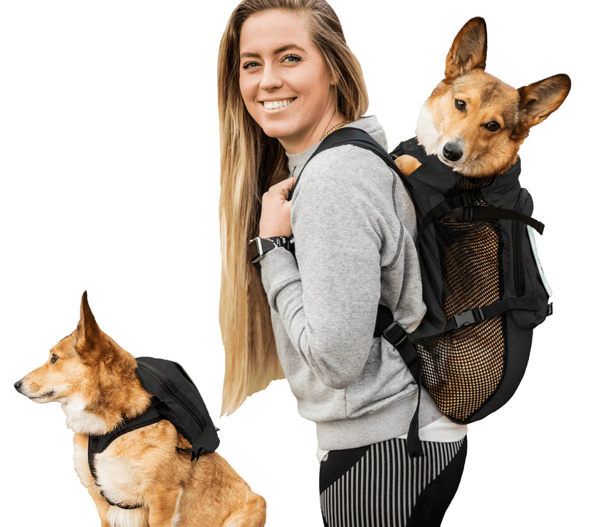 Walk-On with Harness & Storage
