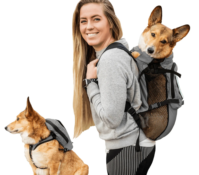 Walk-On with Harness & Storage