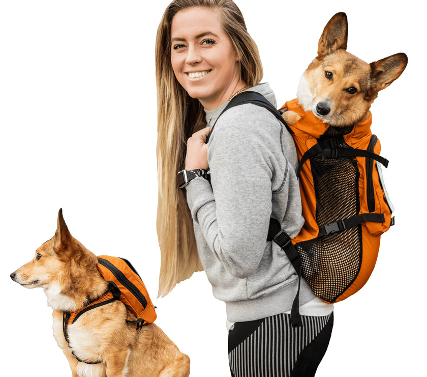 Walk-On with Harness & Storage