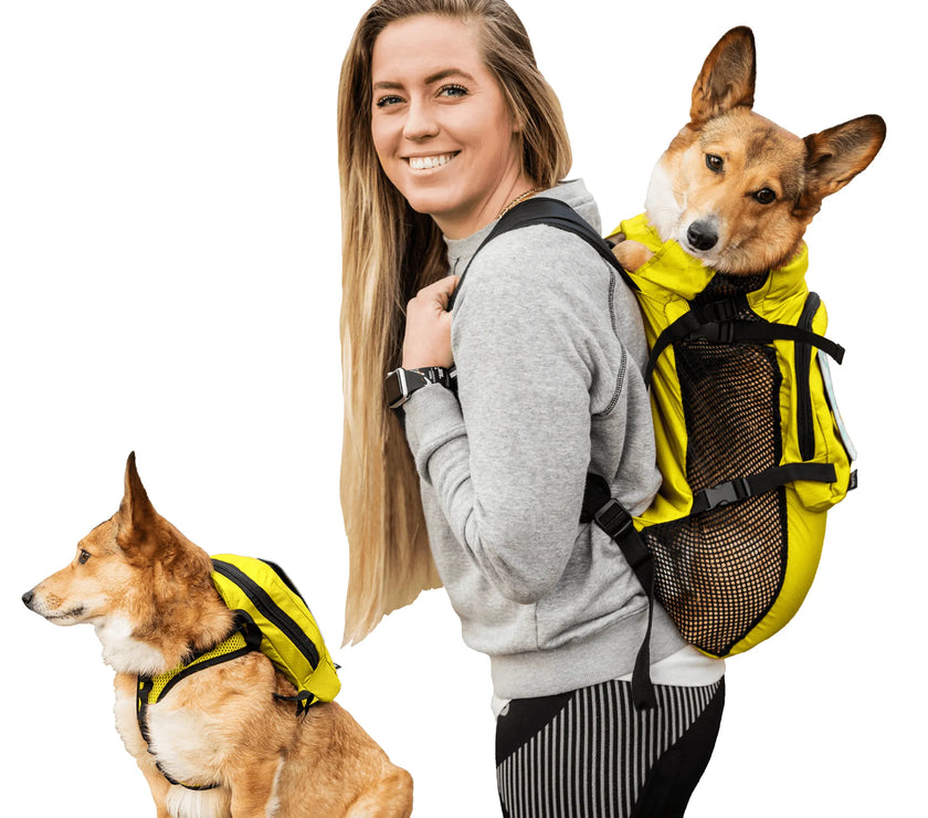 Walk-On with Harness & Storage