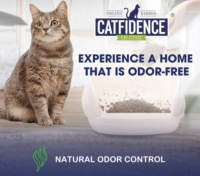 Catfidence Bamboo Cat Litter