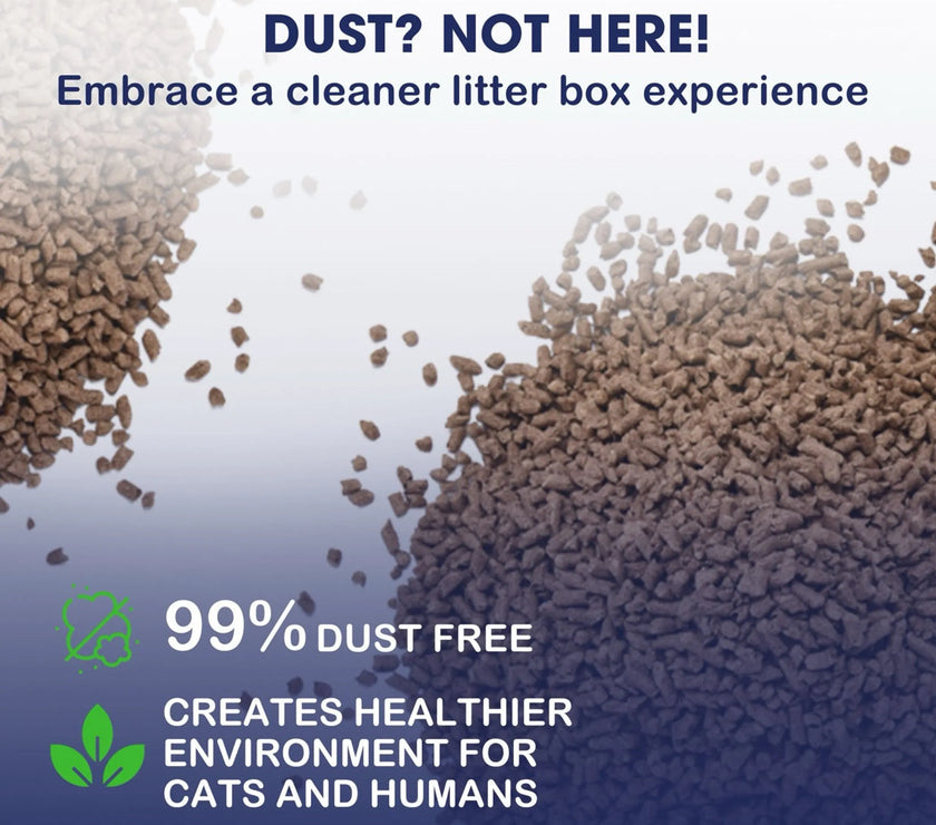 Catfidence Bamboo Cat Litter