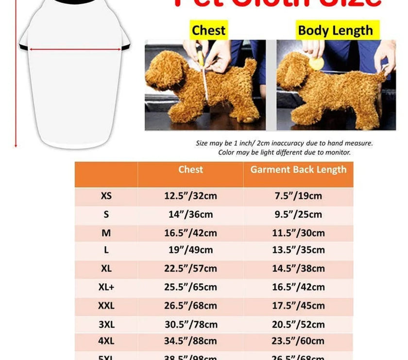 Matching Pet and Owner Clothing Set | Hoodie