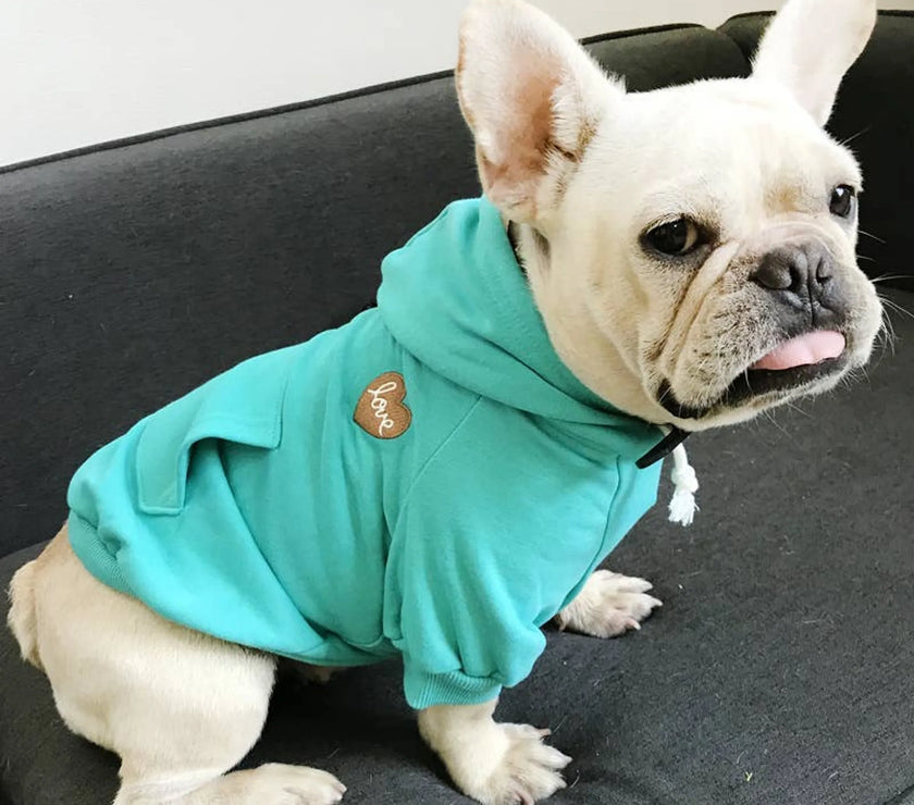 Matching Pet and Owner Clothing Set | Hoodie