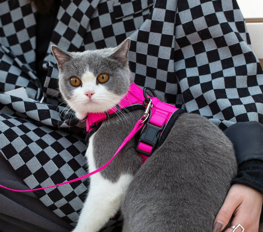 Mr. Peanut's PurrTrek Reflective Cat Harness with Matching Leash