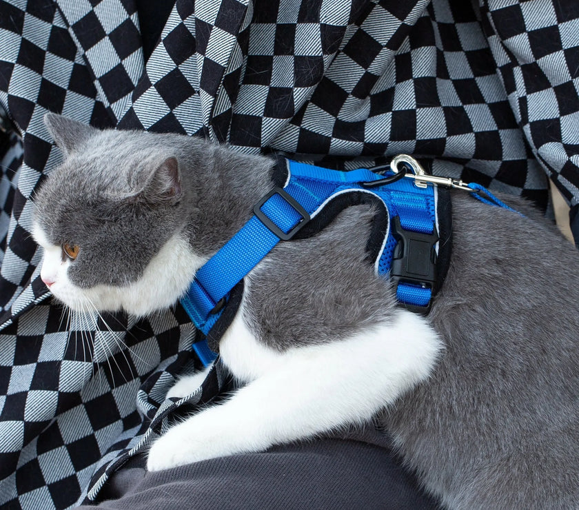 Mr. Peanut's PurrTrek Reflective Cat Harness with Matching Leash