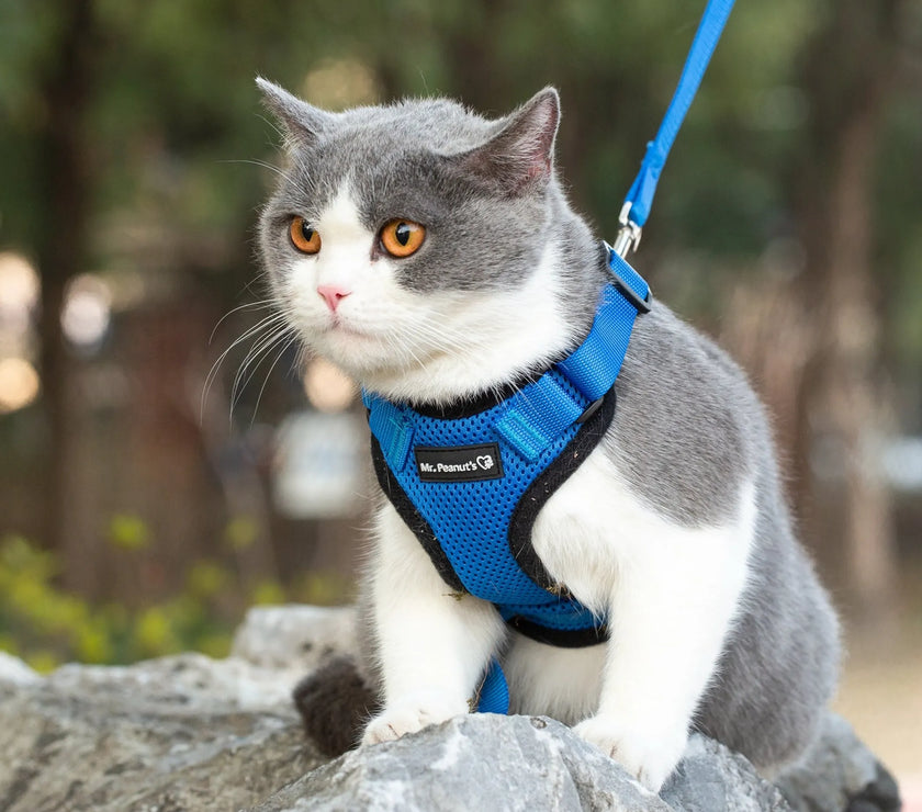 Mr. Peanut's PurrTrek Reflective Cat Harness with Matching Leash