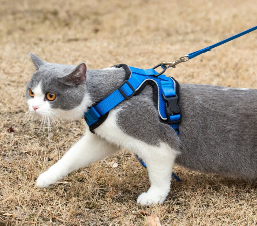 Mr. Peanut's PurrTrek Reflective Cat Harness with Matching Leash