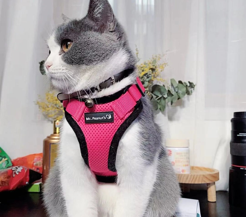 Mr. Peanut's PurrTrek Reflective Cat Harness with Matching Leash