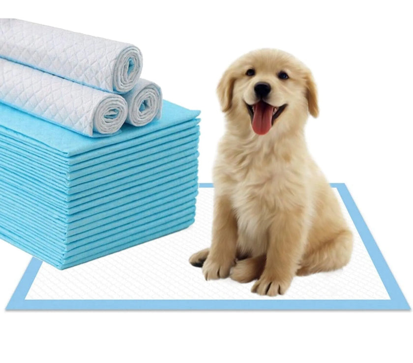 Mr. Peanut's premium dog pee pads with absorbent gel and fast-dry technology featuring a happy puppy sitting on a pad