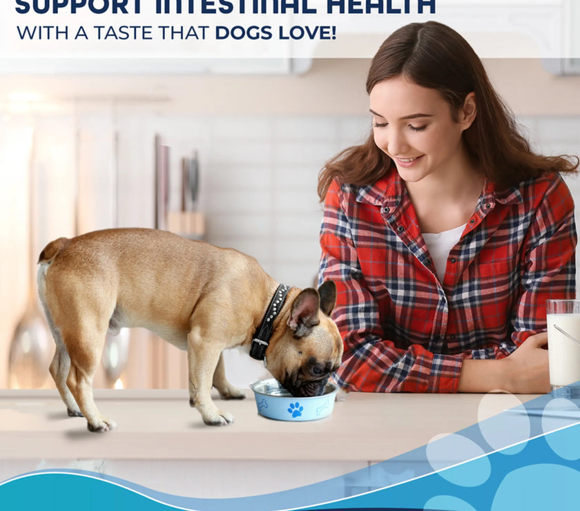 Forza10 Active Intestinal Support Diet Dry Dog Food