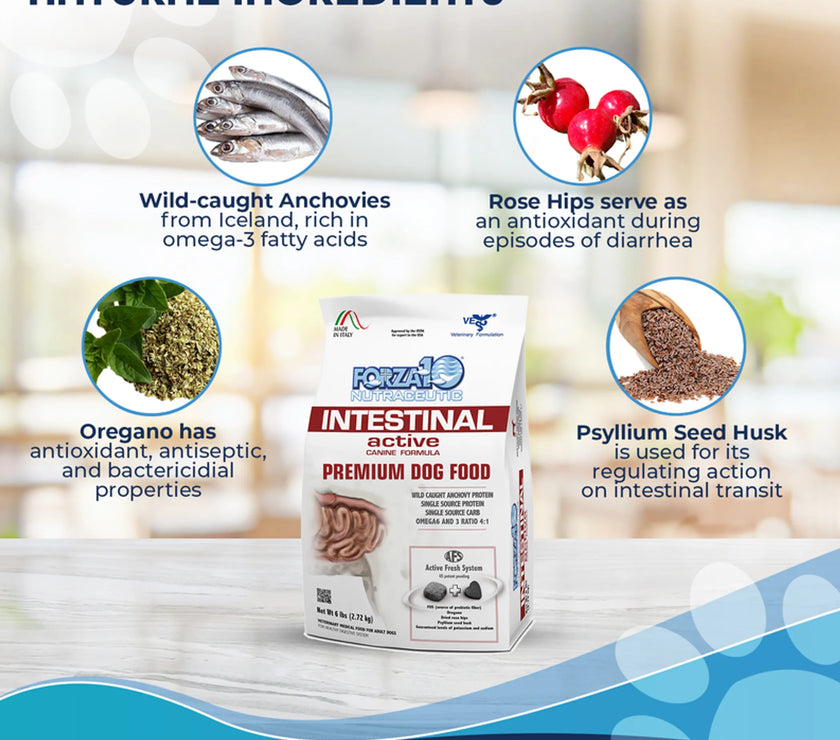 Forza10 Active Intestinal Support Diet Dry Dog Food