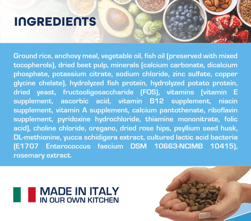 Forza10 Active Intestinal Support Diet Dry Dog Food