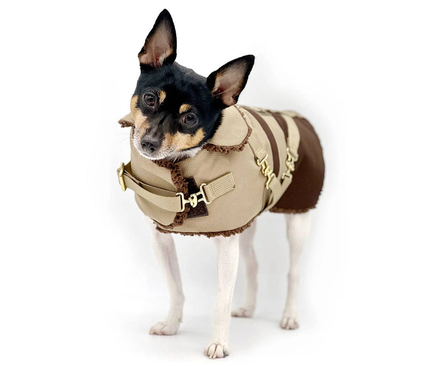 "Classic Mocha Latte" - DCNY Equestrian Collection