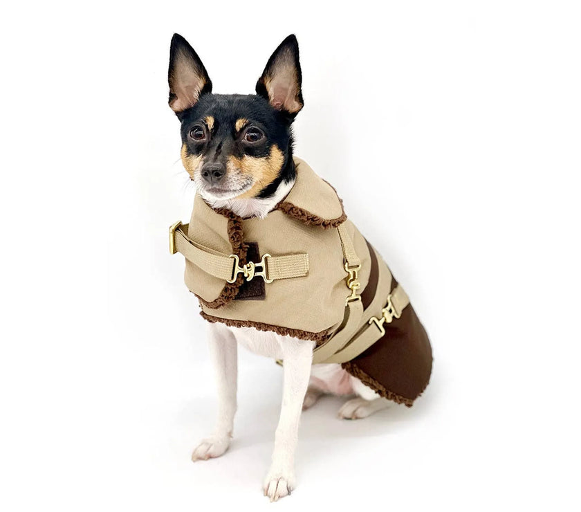 "Classic Mocha Latte" - DCNY Equestrian Collection