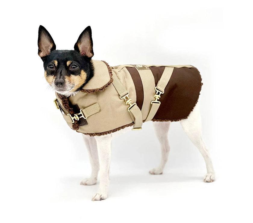 "Classic Mocha Latte" - DCNY Equestrian Collection
