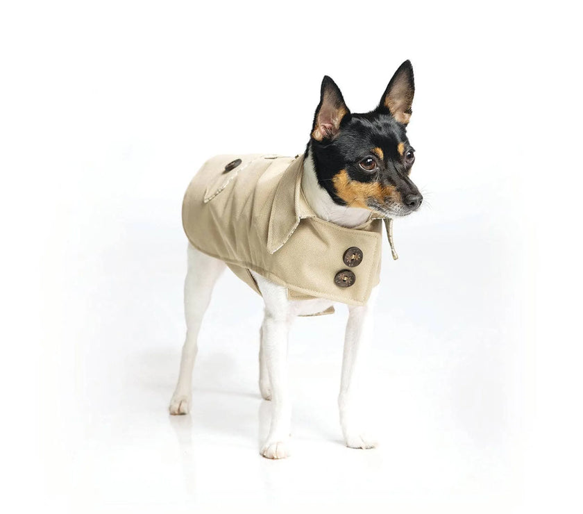 DoggieCoutureNY Classic Trench Coat