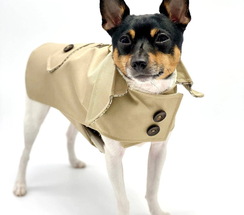 DoggieCoutureNY Classic Trench Coat