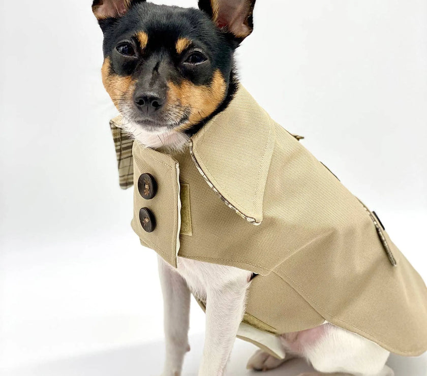 DoggieCoutureNY Classic Trench Coat