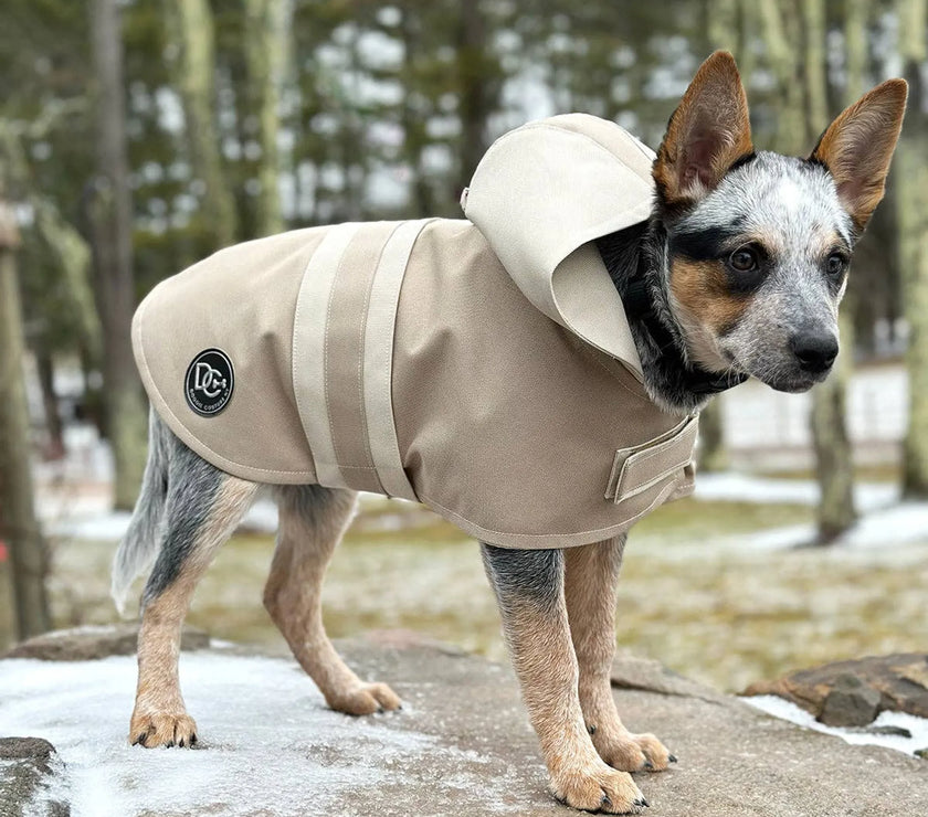 DCNY Sport Luxe Hooded Raincoat