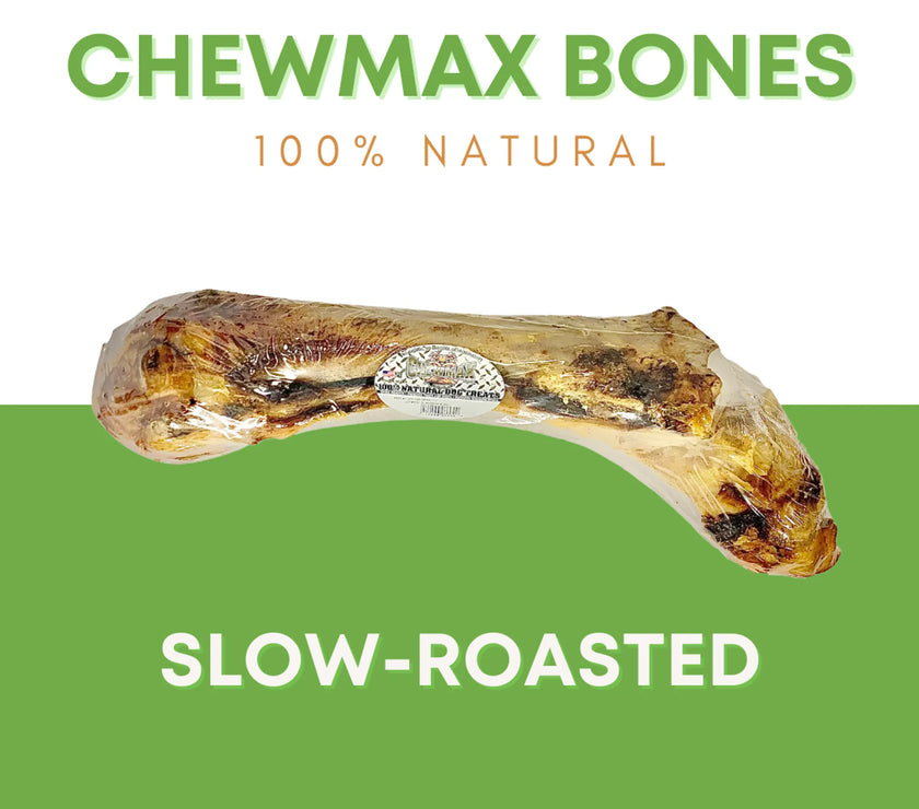Slammer Beef Bone