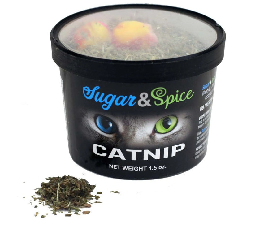 Catnip Container