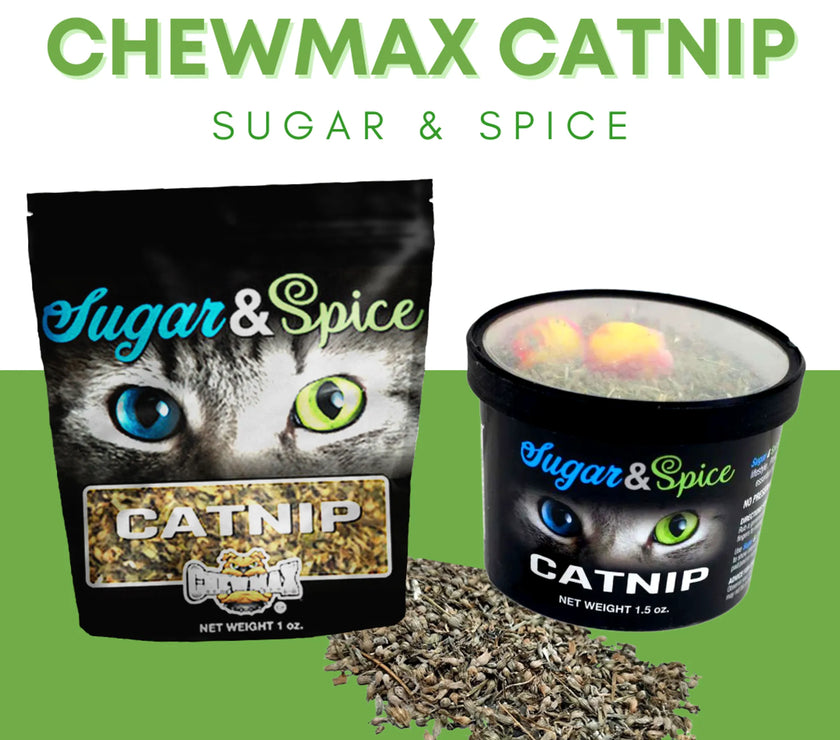 Catnip Container