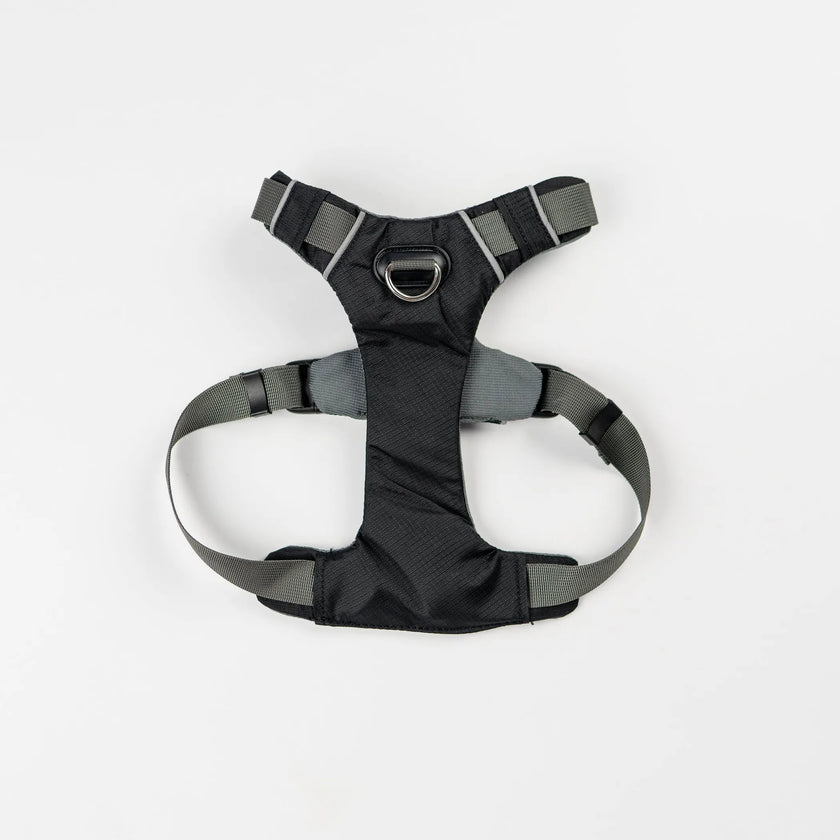 AlphaPak EZ Fit Dog Harness for Ultimate Comfort