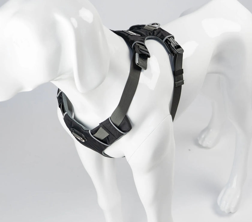 AlphaPak EZ Fit Dog Harness for Ultimate Comfort